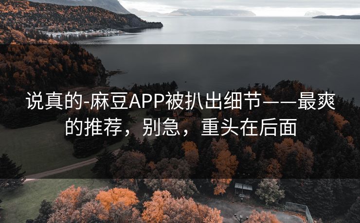 说真的-麻豆APP被扒出细节——最爽的推荐，别急，重头在后面