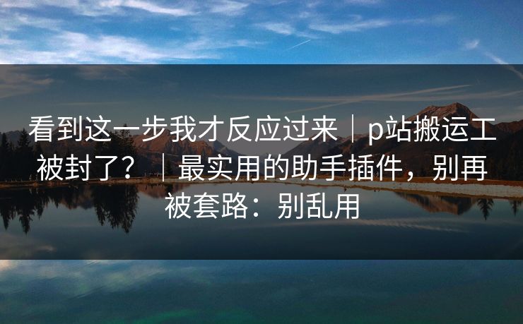 看到这一步我才反应过来｜p站搬运工被封了？｜最实用的助手插件，别再被套路：别乱用