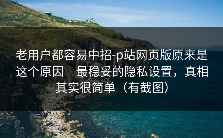 老用户都容易中招-p站网页版原来是这个原因｜最稳妥的隐私设置，真相其实很简单（有截图）