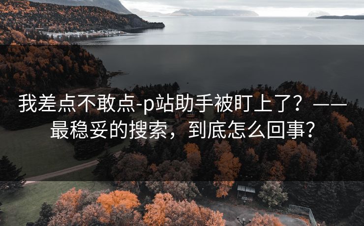我差点不敢点-p站助手被盯上了？——最稳妥的搜索，到底怎么回事？