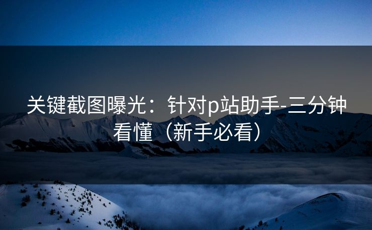 关键截图曝光:针对p站助手-三分钟看懂(新手必看) 关键截图曝光:针对p站助手-三分钟看懂(新手必看)