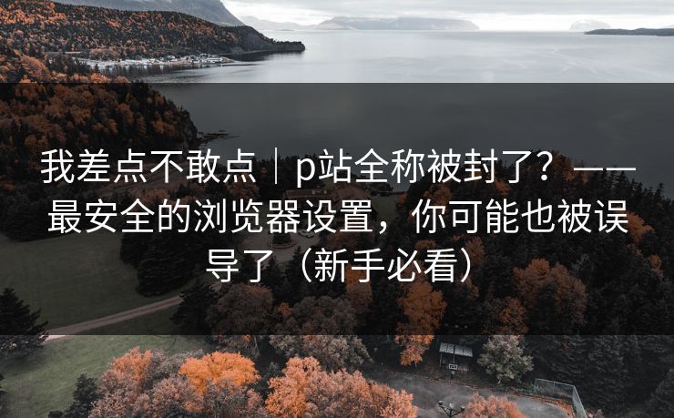 我差点不敢点|p站全称被封了?——最安全的浏览器设置,你可能也被误导了(新手必看) 我差点不敢点|p站全称被封了?——最安全的浏览器设置,你可能也被误导了(新手必看)