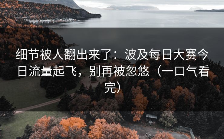 细节被人翻出来了:波及每日大赛今日流量起飞,别再被忽悠(一口气看完) 细节被人翻出来了:波及每日大赛今日流量起飞,别再被忽悠(一口气看完)