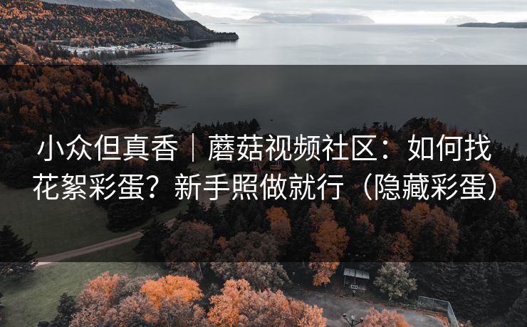 小众但真香|蘑菇视频社区:如何找花絮彩蛋?新手照做就行(隐藏彩蛋) 小众但真香|蘑菇视频社区:如何找花絮彩蛋?新手照做就行(隐藏彩蛋)