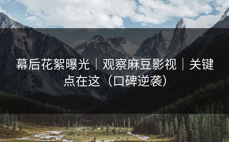 幕后花絮曝光｜观察麻豆影视｜关键点在这（口碑逆袭）