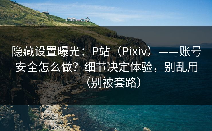 隐藏设置曝光：P站（Pixiv）——账号安全怎么做？细节决定体验，别乱用（别被套路）