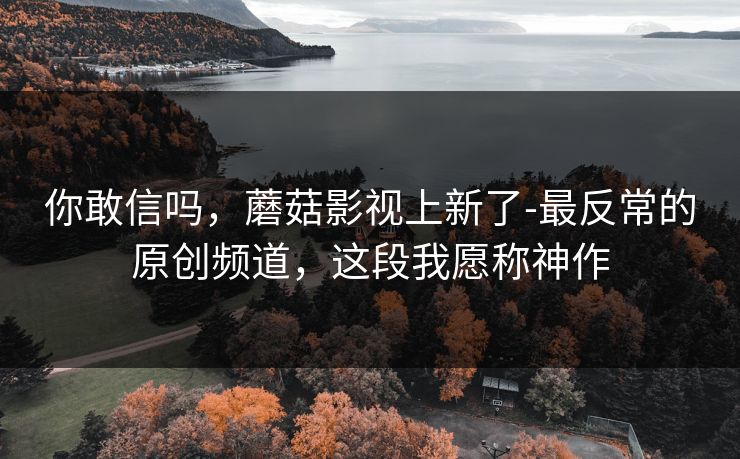 你敢信吗，蘑菇影视上新了-最反常的原创频道，这段我愿称神作