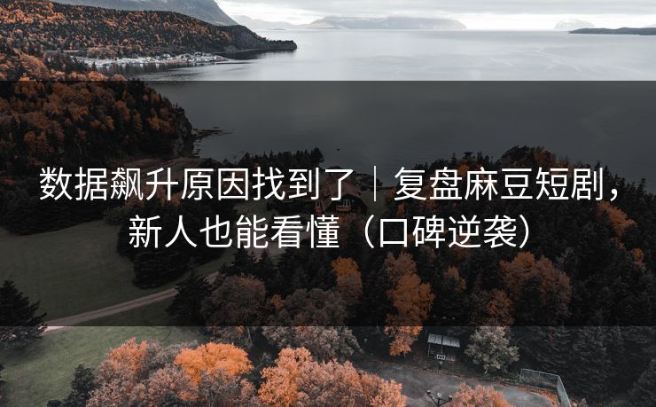 数据飙升原因找到了|复盘麻豆短剧,新人也能看懂(口碑逆袭) 数据飙升原因找到了|复盘麻豆短剧,新人也能看懂(口碑逆袭)