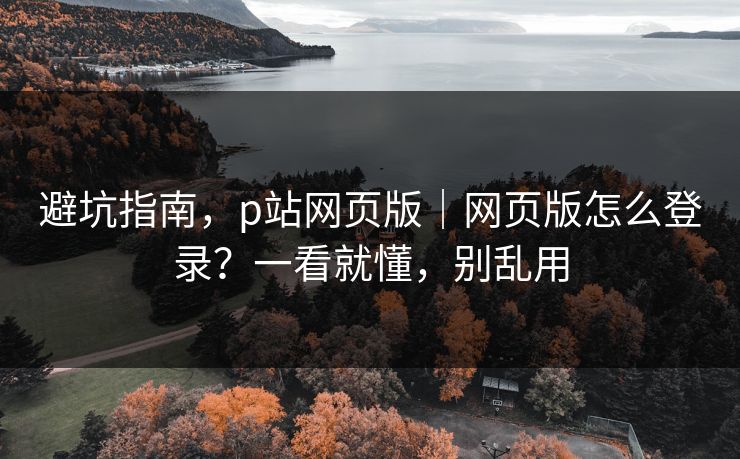 避坑指南，p站网页版｜网页版怎么登录？一看就懂，别乱用